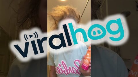 Voluminous Hair To Make Drag Queens Jealous || ViralHog