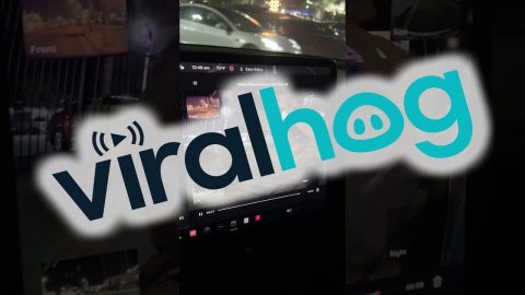 Pedestrian Isn't Happy With This Car || ViralHog