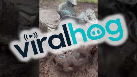 ATV Gets Stuck in Mud Pit || ViralHog