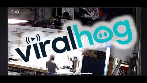 Warehouse Worker Drops Down || ViralHog