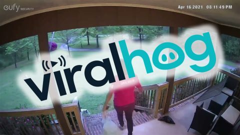 Woman Wipes Out on Steps Taking Out Trash || ViralHog