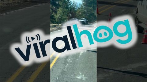 Bubbles at Work || ViralHog