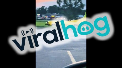 Banana Car On The Go || ViralHog