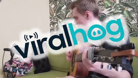 Cat Sings The Blues While Owner Plays Guitar || ViralHog