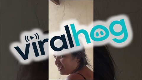 Bird Pesters Woman Doing Laundry || ViralHog