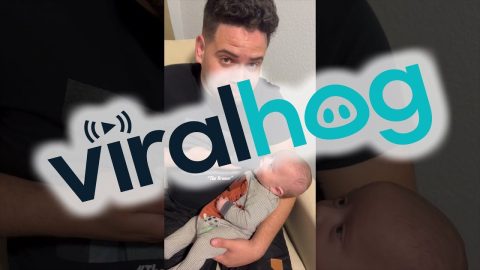Dad Is The Mother Now || ViralHog