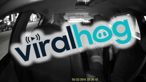 Man Claims to Be Police Officer and Tells Uber Driver He Can't Record the Ride || ViralHog