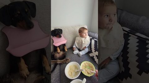 Family Lunch || ViralHog