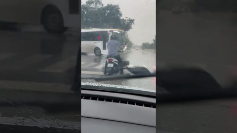 Stray Dog Does Circles Around Motorcycle || ViralHog