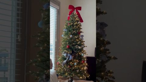 Kitten Cozies Up In Christmas Tree || ViralHog