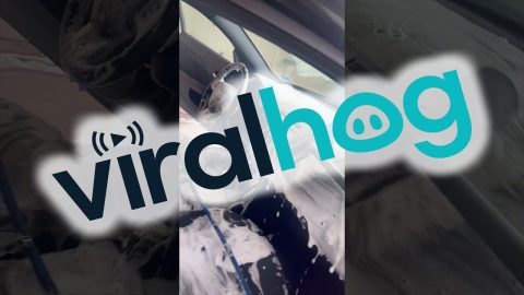 When You Try to Detail Your Car for Cheap || ViralHog