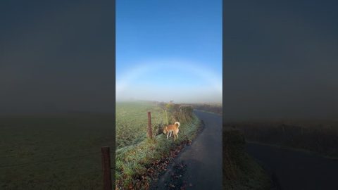 Fog Bow Spotted in the Fields || ViralHog