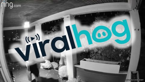Seniors Treat Themselves On Halloween Night || ViralHog