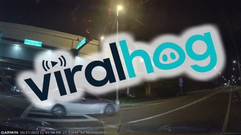 Victory Honks After Instant Red Light Karma || ViralHog