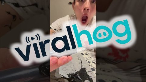 Pants Paint Pops Open || ViralHog