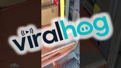 Unfortunate Paint Spill in Delivery Van || ViralHog