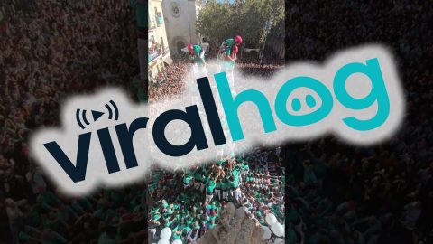 World's First '9 de 9' Human Tower || ViralHog