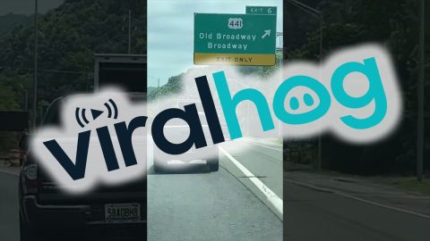 Open Door On A Moving Van || ViralHog