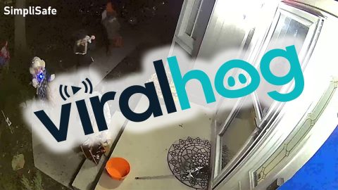 Trick-or-Treater Gives Back To The Community || ViralHog