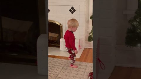 Christmas Tree Lights Adorably Dazzle || ViralHog