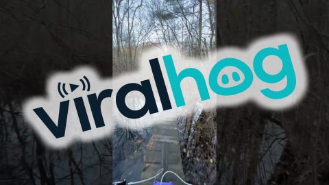 Mountain Bike Ride Through The Forest || ViralHog