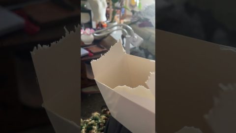 Helpful Bird Trims Edge Off Box || ViralHog