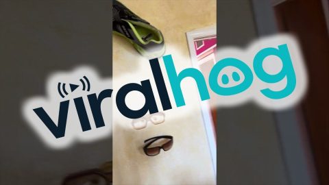 An Oversized Estate Sale || ViralHog