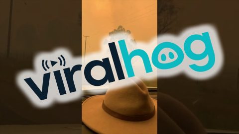 Bushfires Force Evacuation From Wallangarra || ViralHog