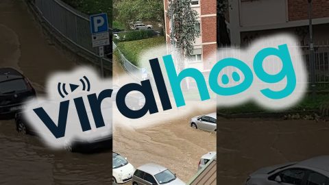 Pedestrian Stays Dry During a Flood || ViralHog