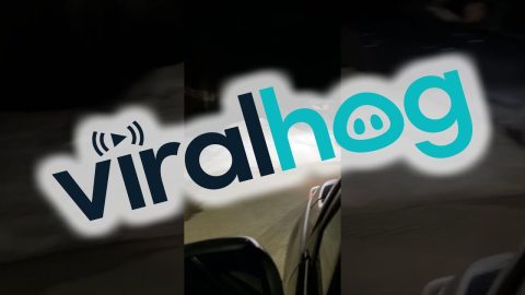 Friend's Car Climbs Snowbank || ViralHog