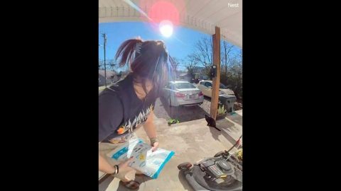 Cat Greets Amazon Delivery Driver || ViralHog