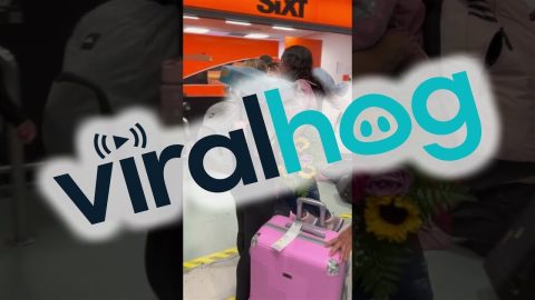 Family Reunited at Airport || ViralHog