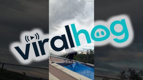 Pool Cover Close Fail || ViralHog