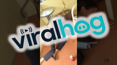 Coworker Gets Spooked || ViralHog