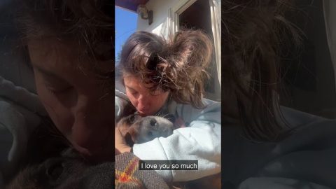 Woman Loves on Her Dying Dog || ViralHog