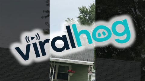 Michael Myers Decoration On Neighborhood Roof || ViralHog