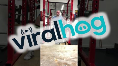 Failed Lift Topples Squat Rack || ViralHog