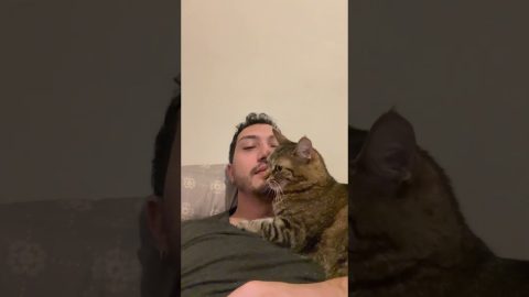 A Very Jealous Cat || ViralHog