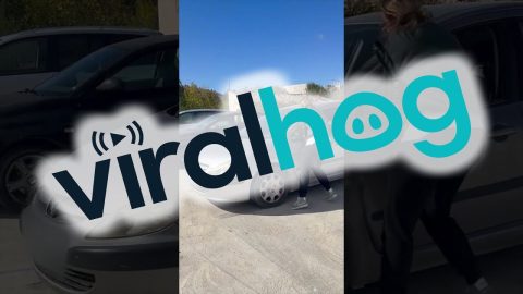 Throw It In Reverse || ViralHog
