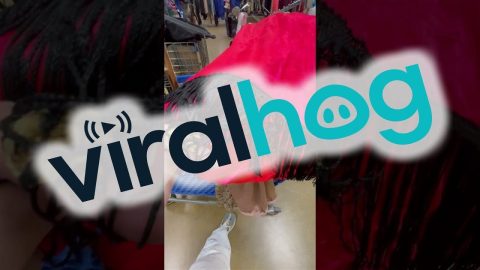 Shopper Finds Something Unexpected on Thrift Store Flapper Dress || ViralHog