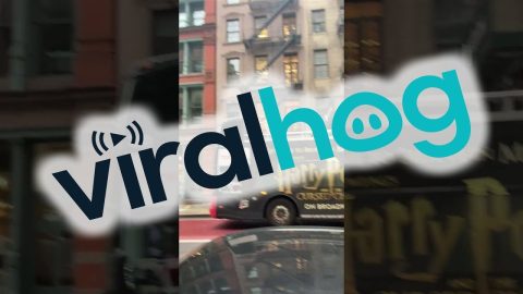 WeWork Or WeDont in NYC || ViralHog