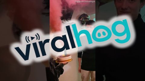 A Strange Type Of Birthday Candle || ViralHog