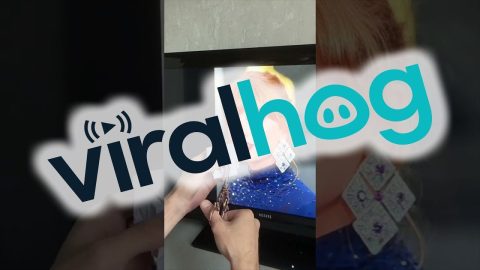 Fan Creates Famous Star's Paper Portrait || ViralHog