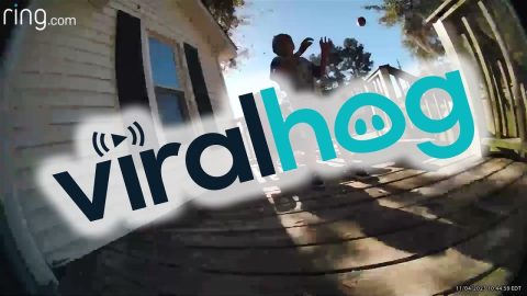 Doorbell Durability Test || ViralHog