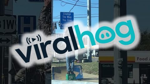 Panhandler Corrects Sign In Front Of Police || ViralHog