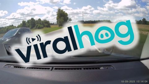 Car On The Wrong Side Of The Road || ViralHog