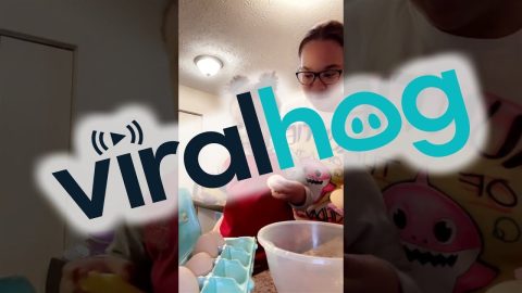 Nephew Follows Egg Cracking Instructions || ViralHog