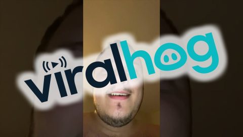 Don't Forget Who The Real Baby Is || ViralHog