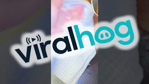 Clever Lifehack To Remove Wood Stains || ViralHog