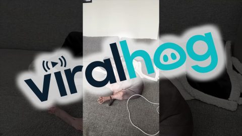 Hairless Cat Cleans Herself || ViralHog